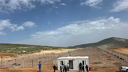 O bölgede hummalı çalışmalar sürüyor! Sokak hayvanlarına yeni yuva yapılıyor