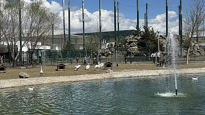 Oraya gidecekler dikkat! Bugün kapalı
