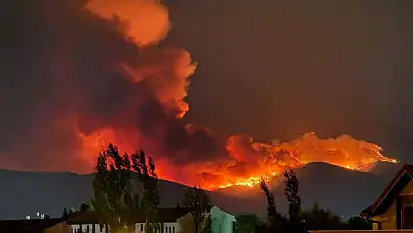 Orman yangınların sebebi ortaya çıktı! Kayseri'den tepki geldi