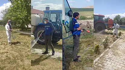 Park, bahçe, okul, cami... Belediyeler keneye karşı alarmda