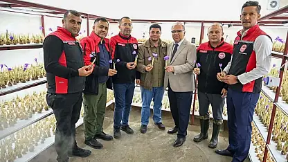 Dünyanın en pahalı baharatı Kayseri'de yetişir mi? Protokol sahada inceleme yaptı