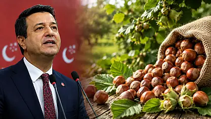 Kayserili Genel Başkan fındık fiyatlarını eleştirdi