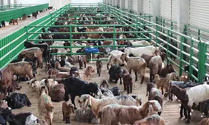 Bakanlık açıkladı: Destekten yararlanacaklar belli oldu
