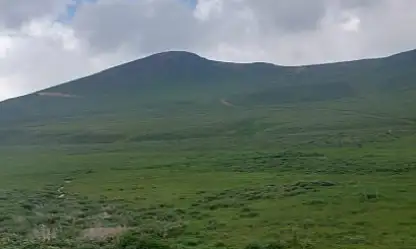 Develi yaylalarında beklenmedik bereket: Doğa adeta coştu