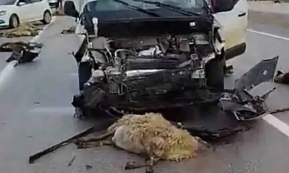 Her gün aynı korku! Çiftçiler artık çözüm bekliyor
