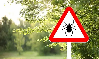 Kayseri İl Sağlık Müdürlüğü uyardı: Keneden korunma yolları!