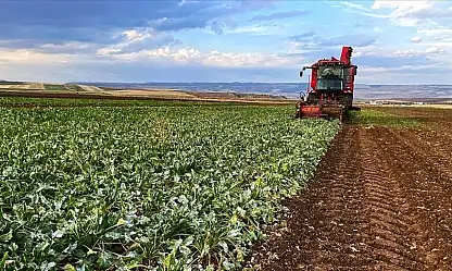Kayserili üreticilerin dikkatine: 1 Temmuz'da başlıyor!