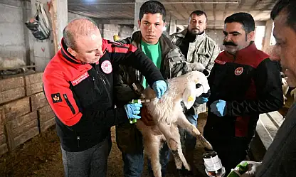 Müdür Saklav, o işletmeyi yerinde inceledi