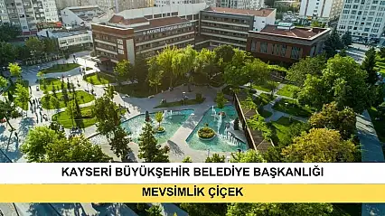 Mevsimlik Çiçek