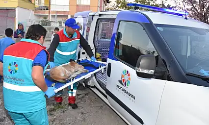 10 bini aşkın can, tek bir amaç: Yaşatmak