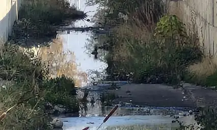 4 kurum 1 kanala sahip çıkmadı! Vatandaş isyanda