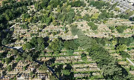 Acı haberi Başkan verdi! Kayserili iş insanı hayatını kaybetti