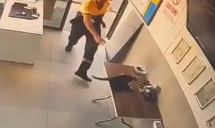 Akaryakıt istasyonunda karga kurtarma operasyonu..