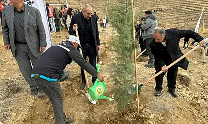 Ali Dağı'nda 1111 fidan toprakla buluştu