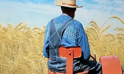 Bakan duyurdu: 1,5 milyar lira destek hesaplara yattı