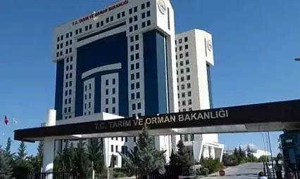 Bakanlık bu kelimelerin kullanımını yasakladı!