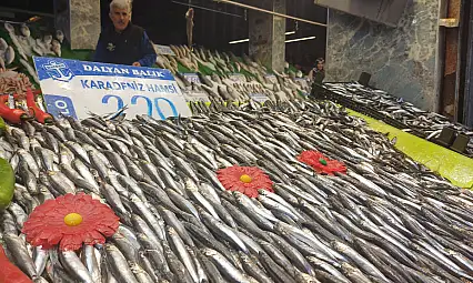 Balıkta kar bereketi