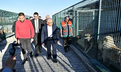 Başkan Büyükkılıç'tan sahipsiz hayvanlara destek