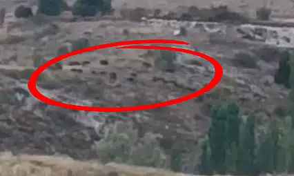 Bir anda karşılarına çıktılar! Kayseri'de yürekleri ağza getiren görüntü
