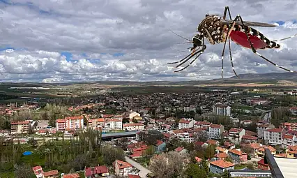Bünyan'da sivrisineklere ezber bozan 'mizahlı' savaş!
