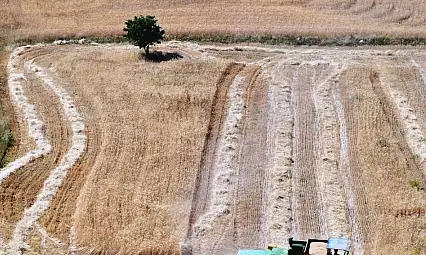 Çiftçiye rekor destek: 274 milyon lira hesaplarda
