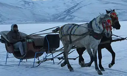 Develi'de 85 yıl önce ulaşım bakın nasıl sağlanıyordu