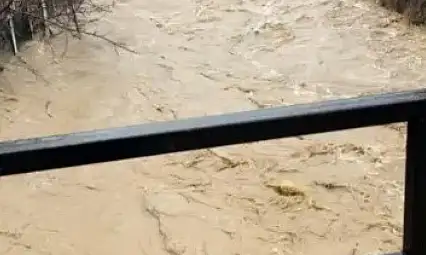 Develi'yi sel vurdu! Evler ve ahırlar sular altında