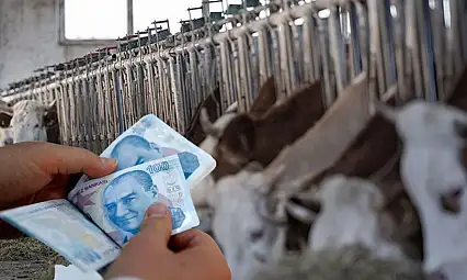 Dikkat! Destek ödemeleri için süreç başladı