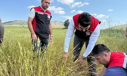 Dolunun vurduğu arazilerde incelemeler sürüyor