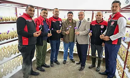 Dünyanın en pahalı baharatı Kayseri'de yetişir mi? Protokol sahada inceleme yaptı