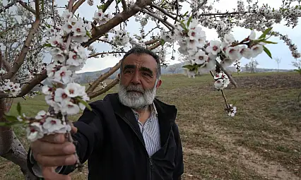 Emekli doktor Kayseri'deki 100 hektarı yeşile boyadı!