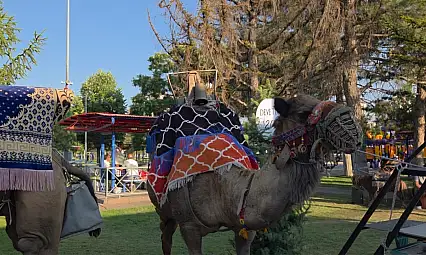 Fuar38'de deveyle karşılaşan Kayserililer şaşkına döndü!
