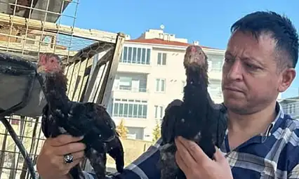 Genç yaşta vefatı ilçeyi yasa boğdu!