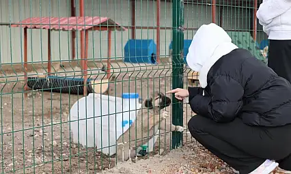 Gençlerden, sokak hayvanları için anlamlı etklinlik