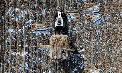 Göçmen kuşların yuvasında kış mesaisi