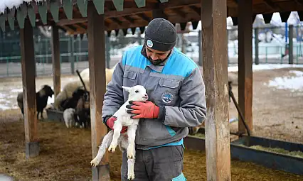 Hayvanat Bahçesi'nde kış hazırlıkları tamam