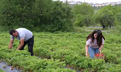Hobi olarak başladılar: Sevilen lezzeti organik ürettiler