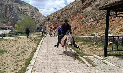 Kayseri'de eşekli turlar başladı!