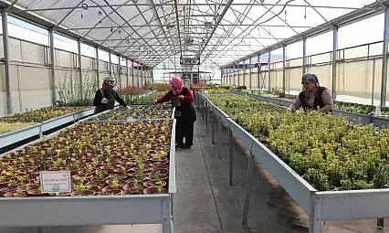 Kayseri'de 1 milyon 200 bin üretildi! Bakın nerede kullanılacak