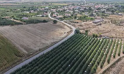 Kayseri'de 8 çeşidi üretiliyor! Hasadı başladı
