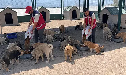 Kayseri'de anlamlı etkinlik: Atıklar mamaya dönüştü