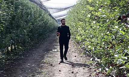 Kayseri'de babasının bahçesini büyüttü: Elmaları 18 ülkeye gönderiyor