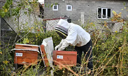 Kayseri'de bal üreticilerinin yüzü gülüyor