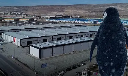 Kayseri'de Başkan 'Merak etmeyin' diyerek paylaştı! Herkesin konuştuğu penguen bakın nereye geldi?