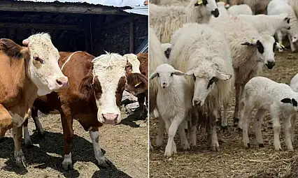 Kayseri'de binlerce üreticiyi ilgilendiren başvuru başladı