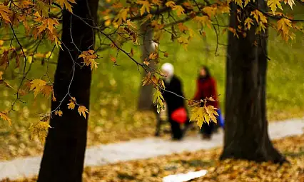 Kayseri'de bugün hava nasıl olacak? (09 Kasım Pazar)