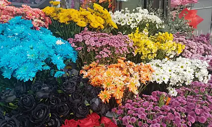 Kayseri'de çiçekler 'şoka' girdi