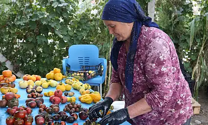 Kayseri'de çoğaltıyor, Türkiye'ye ücretsiz gönderiyor