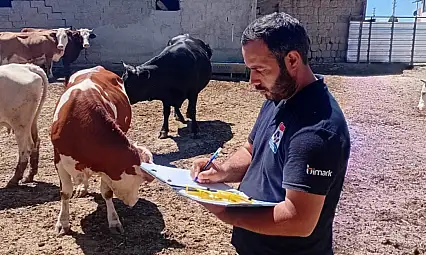 Kayseri'de dikkat çeken artış! Sayı 125 bine ulaştı