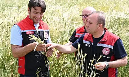Kayseri'de ekinler mercek altında